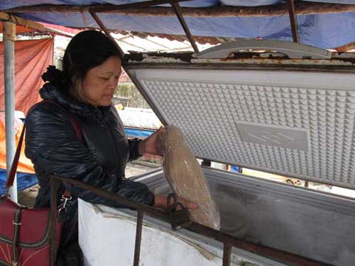 Cái Tết đầu tiên có điện quốc gia ở đảo Cô Tô - 8