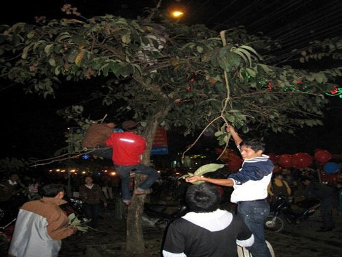 Hái lộc đầu năm: Lộc càng to càng phản văn hóa - 1