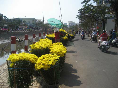 Hoa, trái “méo mặt” ngày 30 Tết - 1