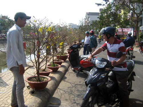 Hoa, trái “méo mặt” ngày 30 Tết - 3