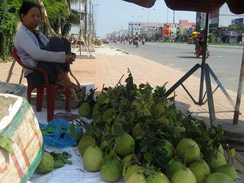 Hoa, trái “méo mặt” ngày 30 Tết - 6