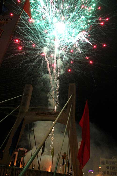 Màn pháo hoa rực rỡ trên khắp đất nước - 20