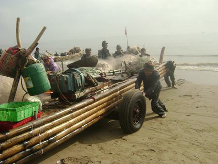 Ngư dân trúng "lộc" đầu năm mới - 2