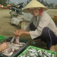 Tin tức trong ngày - Ngư dân trúng "lộc" đầu năm mới