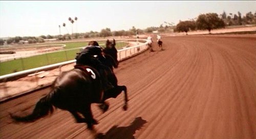 Những con tuấn mã ấn tượng trên màn ảnh - 9