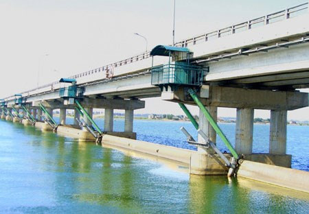 GS trẻ nhất VN: Tôi vẫn mắc nợ quê hương - 2