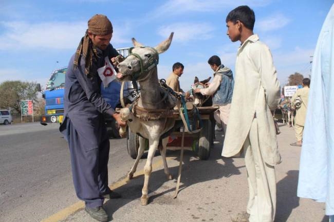 Xe lừa là một trong những phương tiện giao thông truyền thống phổ biến ở Pakistan.
