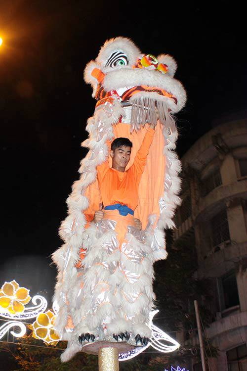 Rực rỡ phố Người Hoa ngày Tết - 15