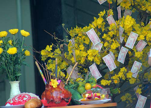 TPHCM: Khai trương "hoành tráng" như lễ hội - 2