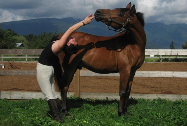 Yoga cùng với ngựa để tạo nên những tư thế tốt cho sức khỏe
