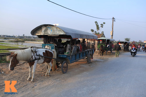 Độc đáo: Ngựa "đưa đón" học sinh đến trường - 5