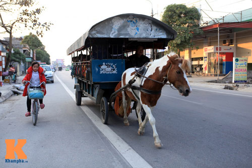 Độc đáo: Ngựa "đưa đón" học sinh đến trường - 7