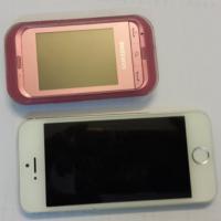 Pháp luật - Đi chúc Tết, nữ Việt kiều Đức bị cướp