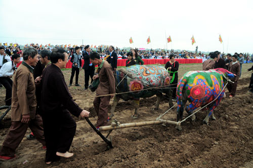 Tái hiện "vua cày ruộng" trong lễ hội Tịch điền - 10