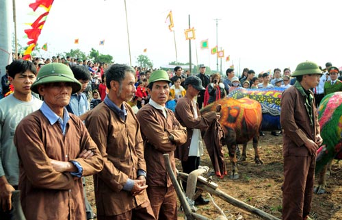 Tái hiện "vua cày ruộng" trong lễ hội Tịch điền - 8