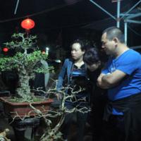 Tin tức trong ngày - Nửa đêm đi "mua may" ở chợ Viềng