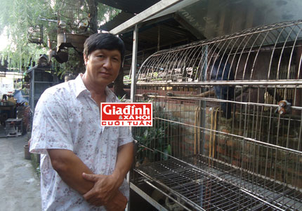 "Bí kíp" dạy đàn quạ biết nói tiếng người - 2