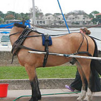 Phi thường - kỳ quặc - 15 ảnh ảo tuyệt vời nhất