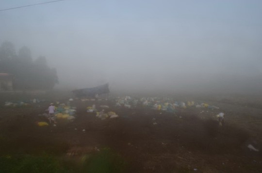 Cầu Cần Thơ “mất tích” trong sương - 8