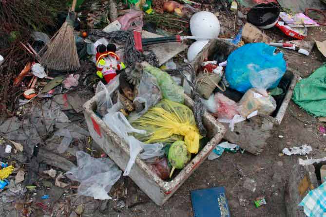 Ảnh: Bánh chưng, giò chả,… phủ kín bãi rác - 3