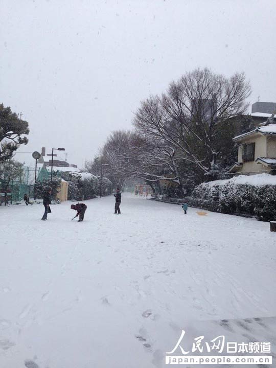 Nhật Bản: Tuyết rơi khủng khiếp nhất 20 năm qua - 1