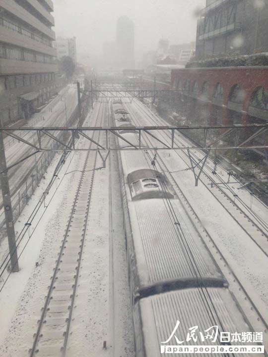 Nhật Bản: Tuyết rơi khủng khiếp nhất 20 năm qua - 3