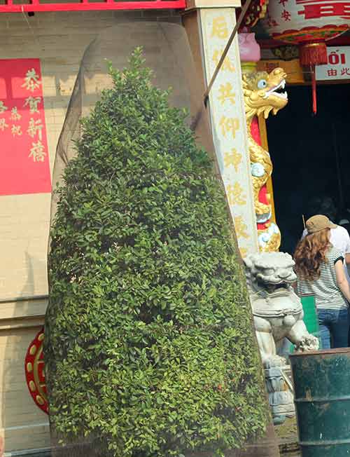 Kiểu giữ xe "lạ" ở chùa Bà trước ngày mở hội - 8