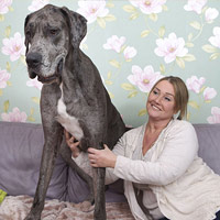 Phi thường - kỳ quặc - "Vua" loài chó nước Anh