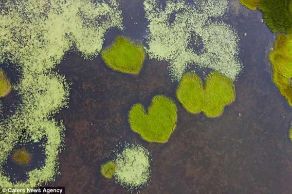 Hình trái tim khổng lồ ở lòng hồ xanh biếc - 4