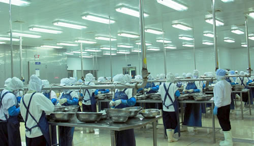 DN thủy sản và "cuộc chiến" với thương lái TQ - 1