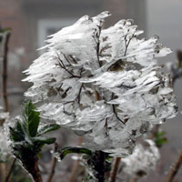 Tin tức trong ngày - Hàng nghìn lượt khách đến Mẫu Sơn xem băng tuyết