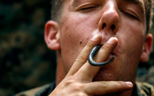 Ảnh ấn tượng: Lính Mỹ ngậm đuôi rắn trong miệng - 1