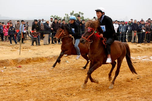 Xem kỵ sỹ cao nguyên trắng đua ngựa tại Hà Nội - 1