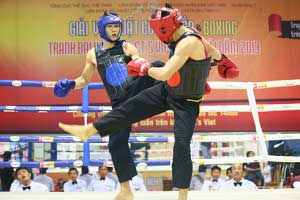 Đấu trường Võ Việt Nam lại nóng… - 4