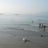 Tin tức trong ngày - Đi cào ốc gạo, 2 phụ nữ bị sóng cuốn mất tích