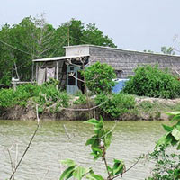 Tin tức trong ngày - Bị điện giật, 2 cha con chết thảm ở đầm tôm