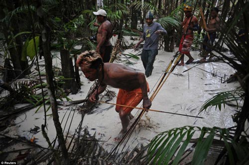 Brazil: Thổ dân vác cung tên truy quét vàng tặc - 2