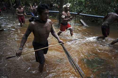 Brazil: Thổ dân vác cung tên truy quét vàng tặc - 5