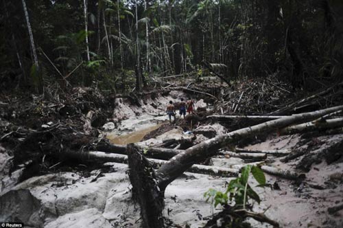 Brazil: Thổ dân vác cung tên truy quét vàng tặc - 6