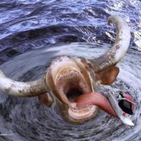 Tin tức trong ngày - Bermuda: Từ quái vật đến người ngoài hành tinh