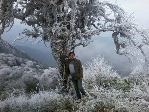 Lại xuất hiện mưa tuyết ở Sapa - 2