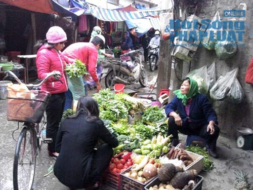 Rau tăng giá "chóng mặt" trong đợt rét đầu năm - 2