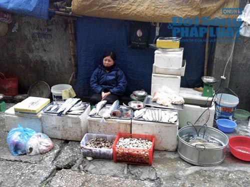 Rau tăng giá "chóng mặt" trong đợt rét đầu năm - 3