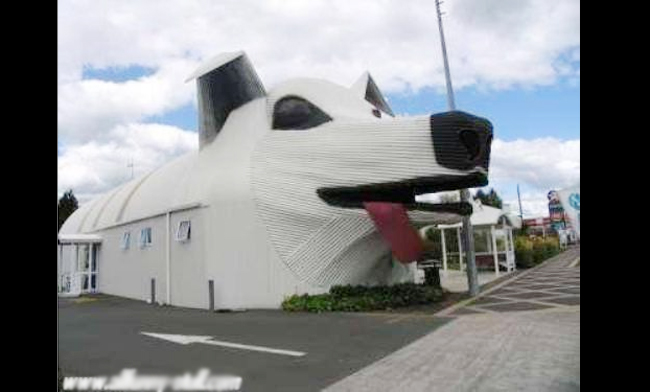 Chó là loài động vật rất được yêu thích tại phương Tây, và người dân tại New Zealand đã không bỏ qua ý tưởng độc đáo này khi xây dựng căn hộ cho mình.
