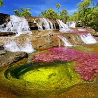 Du lịch - Cảnh thần tiên nơi dòng sông ngũ sắc