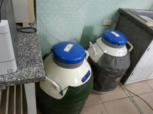 Sinh con nhờ... nước tiểu của chồng - 2