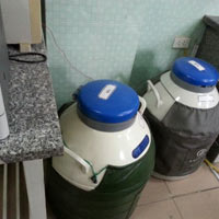 Sức khỏe đời sống - Sinh con nhờ... nước tiểu của chồng