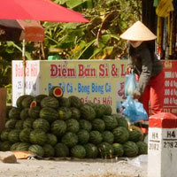 Thị trường - Tiêu dùng - Rau quả vừa bán vừa cho