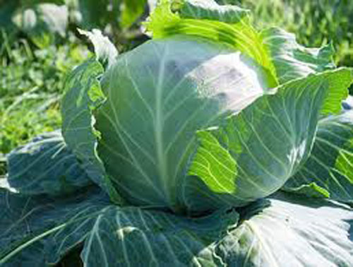 Bí quyết hay ho cho thân hình mảnh mai - 2