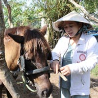 Tin tức trong ngày - Những bóng hồng xinh đẹp làm kỵ sĩ bên sông Tiền